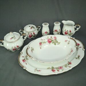 9 Pieces Serving Set Ucagco China Set Platter, Bowl S/P Shakers, Creamer, Sugar